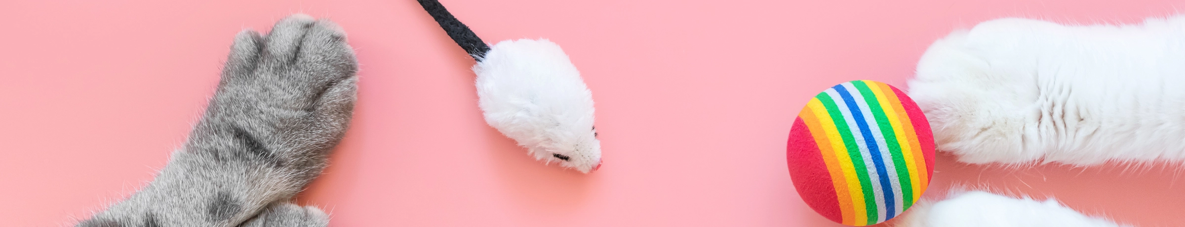 Image Gallery tec-nut.com for Jenny's Pet Shop - Pet toys, No Coding Website, Pet shop, Free website template, Pet supplies, Best Website Builder, Pet food, Simple Website, Website Builder, Free Website, easy website, New Website